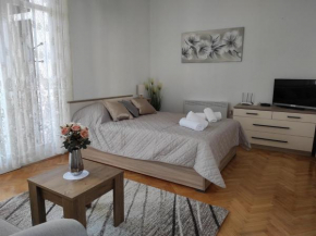 Apartman Centar Šare